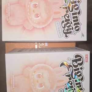 Sealed Box Labubu X 2